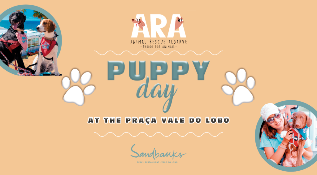 puppy day puppy day